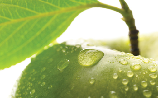 green-apple-aroma.jpg